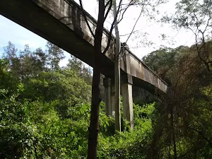 Sewer bridge above Fuller Park