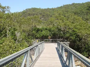 Looking across the bridge to the viewing platform