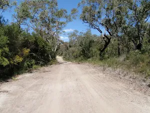Walking along the Management trail