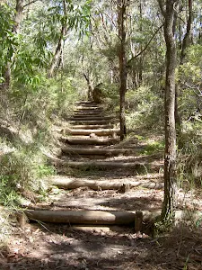 Stairs up to Maitland Bay Information Centre