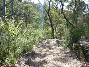 View from Smiths Creek Trail near Terrey Hills