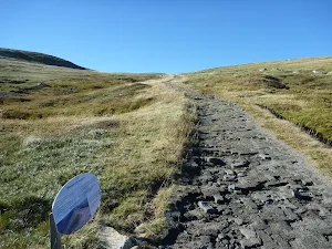 Main Range Track north of Carruthers Creek