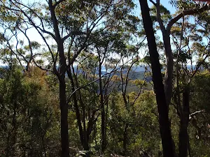 Glimpses through the trees on the Willunga track