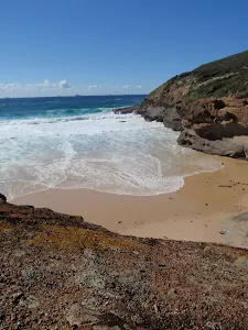 Timber Beach