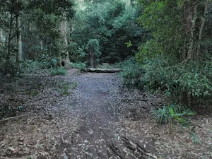 Palona Brook Picnic Area