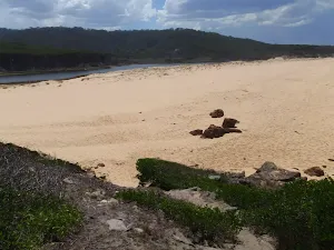 Track across Bournda Beach