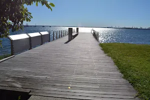 Burrawang foreshore walk 