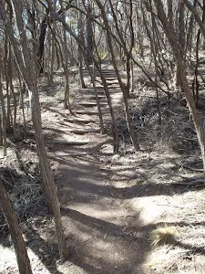 Track south of White Horse Bay