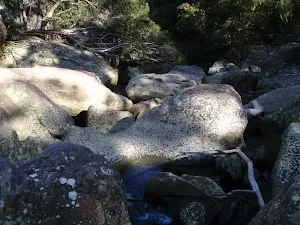 Track across smoothed river rocks