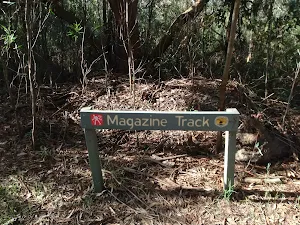 Sign on the Magazine track