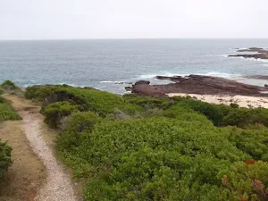 Track onto Haycock Point