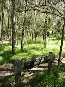 Calna Creek Campsite (south)