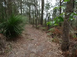 Walking along the ridge on the Mouat walk