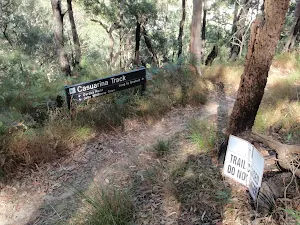Closed sidetrack