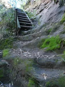Stairs on Rodriguez Pass