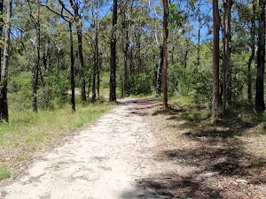 Walking along the white sand of the Warriwarri Lookout trail