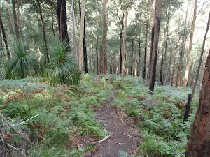 Beautiful walking near Glenworth Valley
