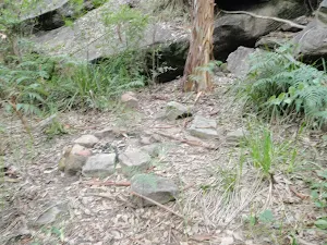 Small campsite just upstream of Jack Evans crossing