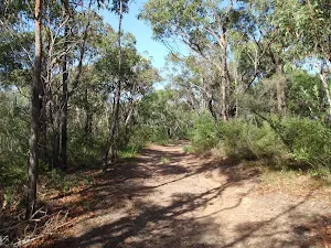 Heading through the bush