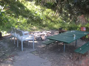 Garie Beach YHA decor