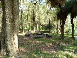 Barraba Campsite