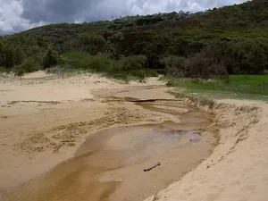 Creek behind Putty Beach