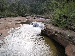 Erskine Creek downstream of Lincoln Creek