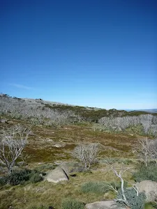 Valley view from Bobs Ridge