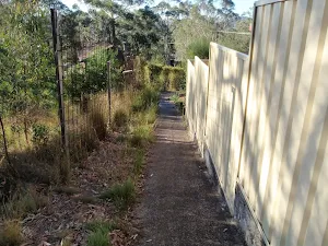 Path beside the houses