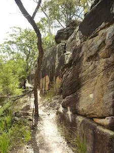 Long rock wall west of Hornsby Heights