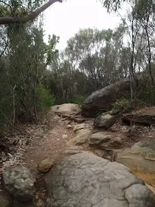 Grotto Point Track