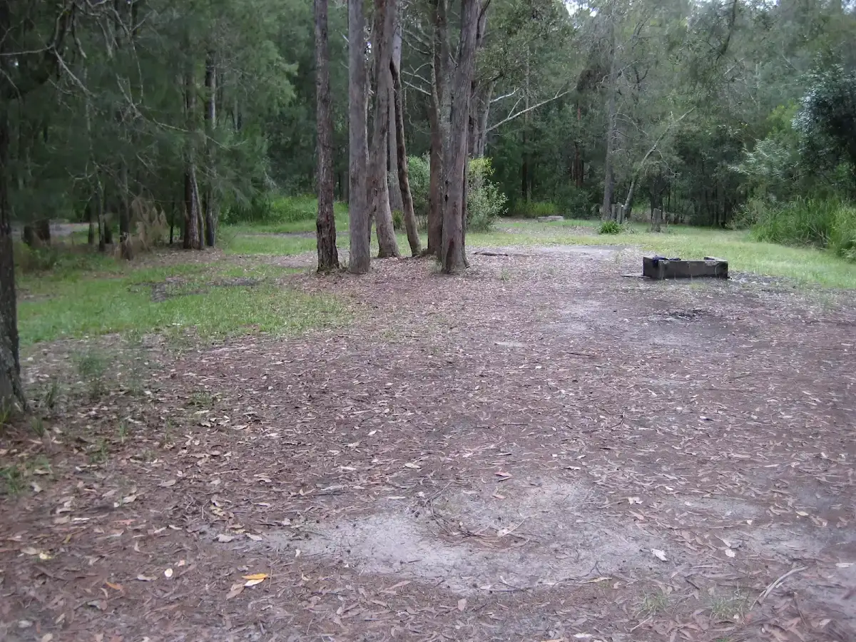 Wallingat River camping ground