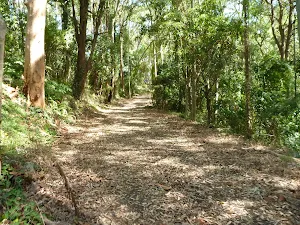 Trail in Blackbutt Reserve and near Lookout Road