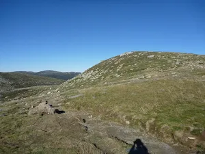 Top of Blue Lake Lookout Track