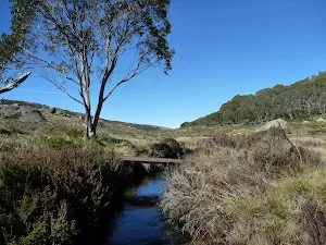 Bridge over Cascade Creek