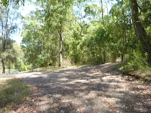 Trail by pond in Richley Reserve in Blackbutt Reserve
