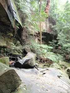 Strickland Falls