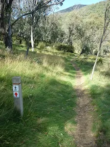 Bridle Trail Loop track
