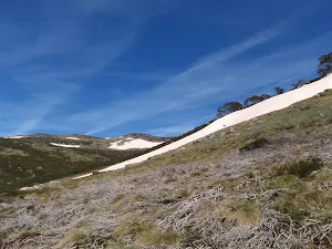Walking up near Twynam Creek