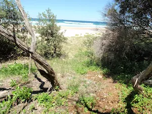 Lower end of Grass Tree Track