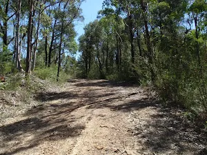 Top of Donny's Track