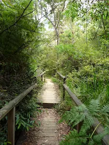 Boardwalk north of Avondale Creek