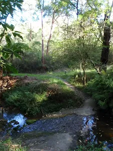 Small creek on Magazine Track
