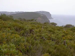 View from headland north of Bombi
