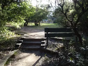 Gordon Falls Reserve