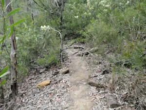 Track to Attic Cave