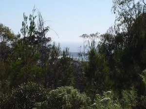 View from Bournda Trig