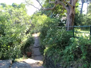 Track leading behind some houses