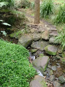 Track across creek