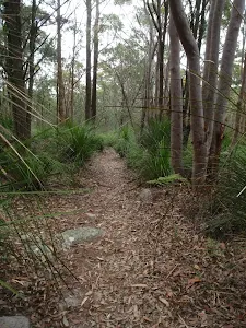 Mouat Trail (Katandra to Rumbalara)
